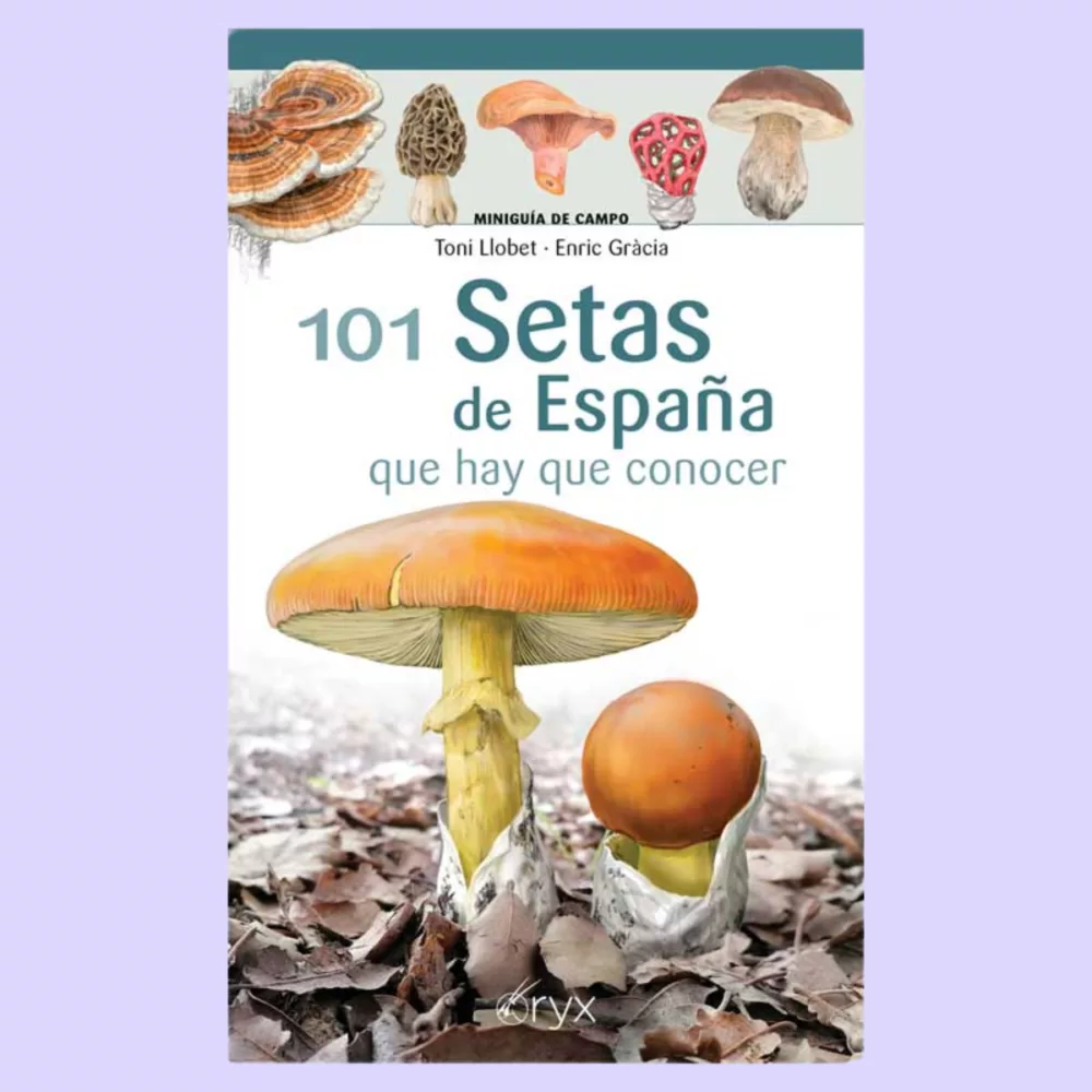 101 setas de España que hay que conocer